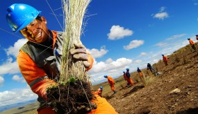 El sector productivo y el cambio climatico