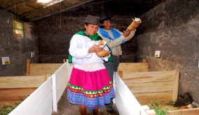 Aporte al desarrollo sostenible Aporte al desarrollo sostenible