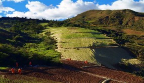 Gestión ambiental