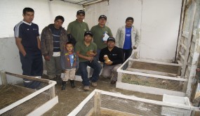 Gestión social