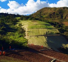 Peru LNG Biorestauración