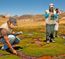 Peru LNG Monitoreo de biodiversidad