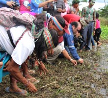 Pluspetrol Liberación de Taricayas