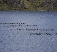 Celepsa Embalse de la laguna Paucarcocha