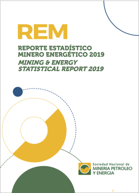 Año 2019 - Fecha de publicación: Octubre 2020