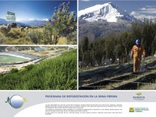 BARRICK Reforestación en MinaPierina