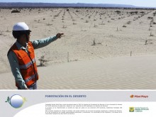 MISKI MAYO Forestación en el desierto