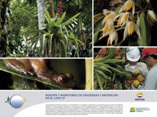 REPSOL rescate y recolocación de orquideas