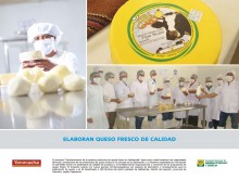 Elaboran queso fresco de calidad